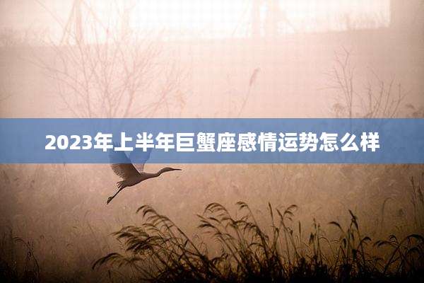2023年上半年巨蟹座感情运势怎么样