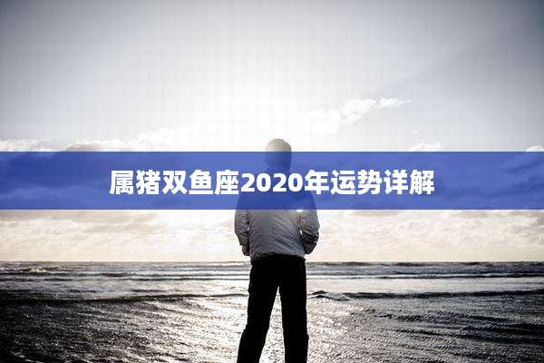 属猪双鱼座2020年运势详解