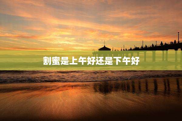 割蜜是上午好还是下午好