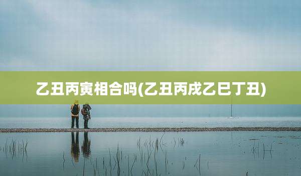 乙丑丙寅相合吗(乙丑丙戌乙巳丁丑)