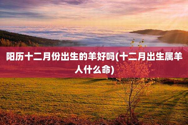 阳历十二月份出生的羊好吗(十二月出生属羊人什么命)