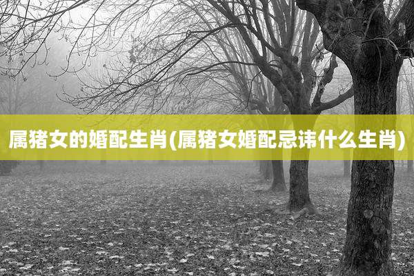 属猪女的婚配生肖(属猪女婚配忌讳什么生肖)