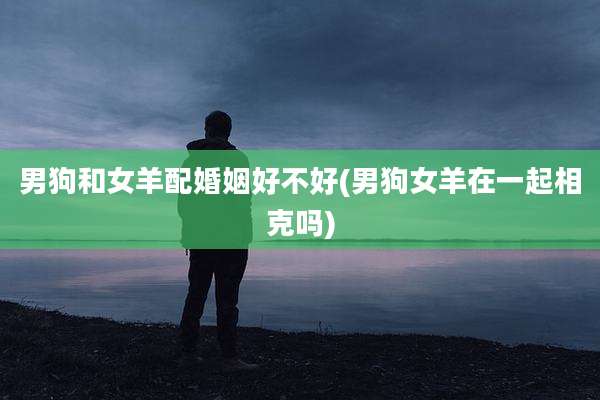 男狗和女羊配婚姻好不好(男狗女羊在一起相克吗)