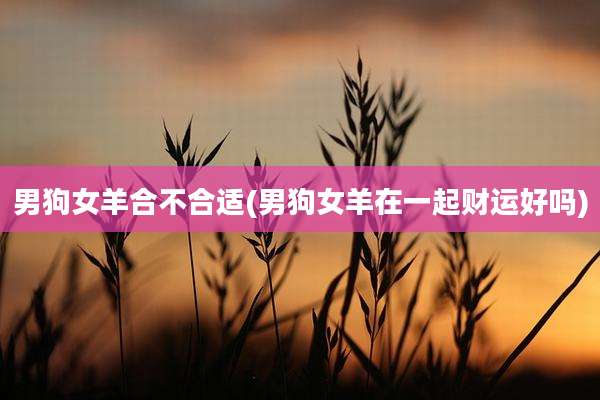 男狗女羊合不合适(男狗女羊在一起财运好吗)