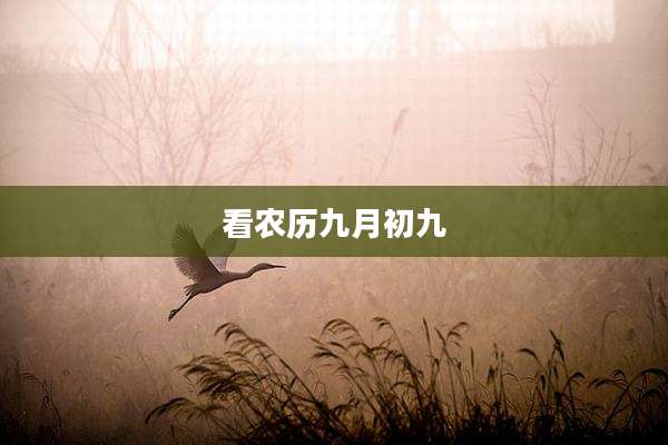 看农历九月初九