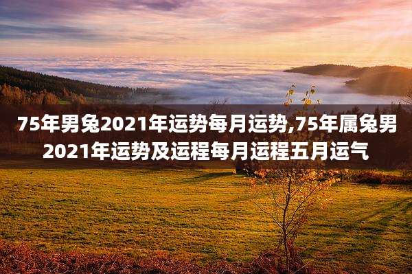 75年男兔2021年运势每月运势,75年属兔男2021年运势及运程每月运程五月运气
