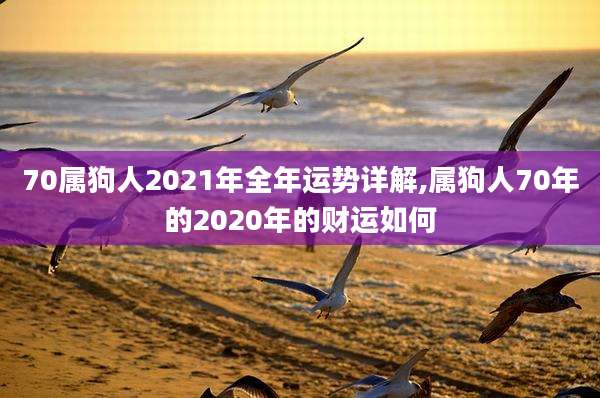 70属狗人2021年全年运势详解,属狗人70年的2020年的财运如何