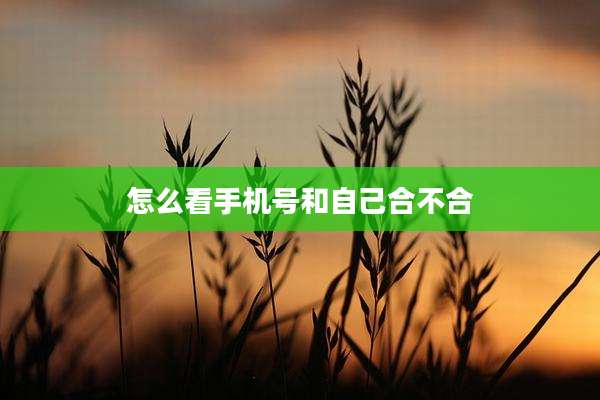 怎么看手机号和自己合不合