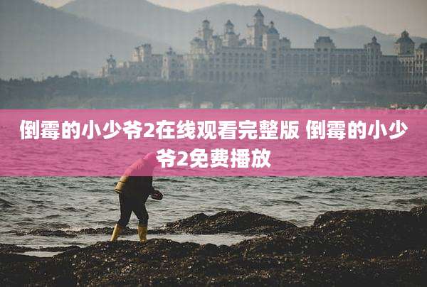 倒霉的小少爷2在线观看完整版 倒霉的小少爷2免费播放
