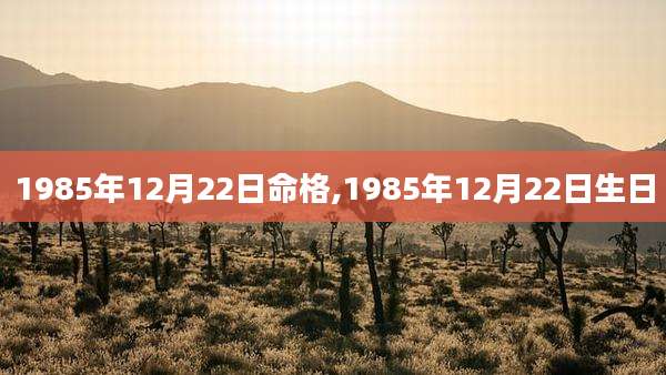 1985年12月22日命格,1985年12月22日生日