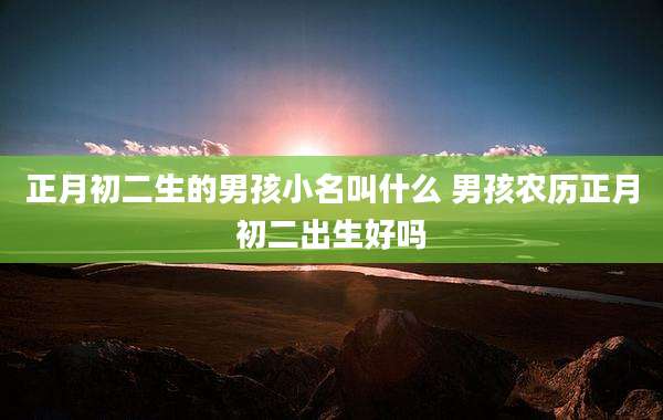 正月初二生的男孩小名叫什么 男孩农历正月初二出生好吗