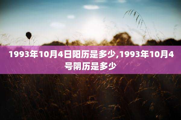 1993年10月4日阳历是多少,1993年10月4号阴历是多少