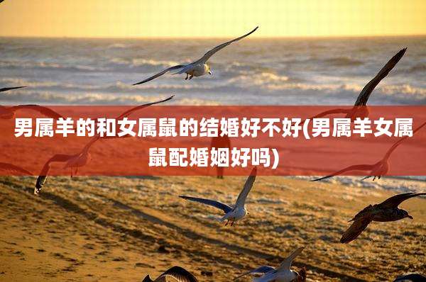 男属羊的和女属鼠的结婚好不好(男属羊女属鼠配婚姻好吗)