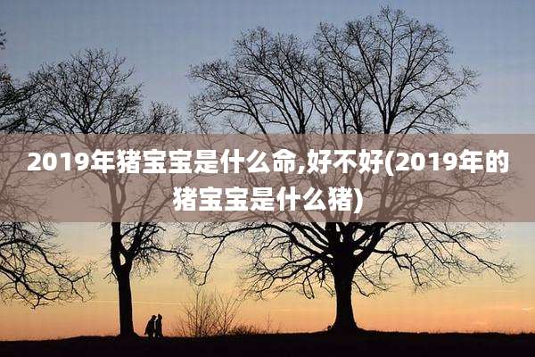 2019年猪宝宝是什么命,好不好(2019年的猪宝宝是什么猪)