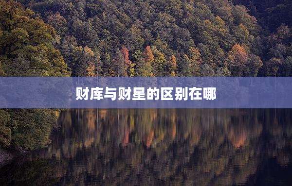 财库与财星的区别在哪