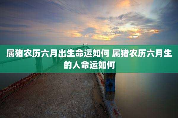 属猪农历六月出生命运如何 属猪农历六月生的人命运如何
