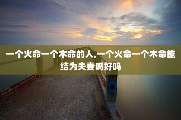 一个火命一个木命的人,一个火命一个木命能结为夫妻吗好吗