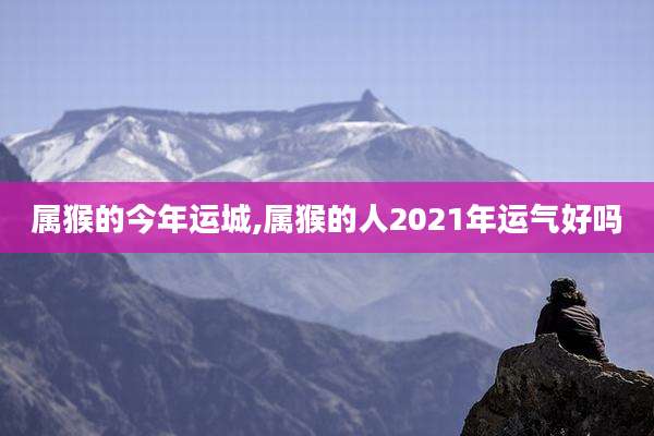 属猴的今年运城,属猴的人2021年运气好吗