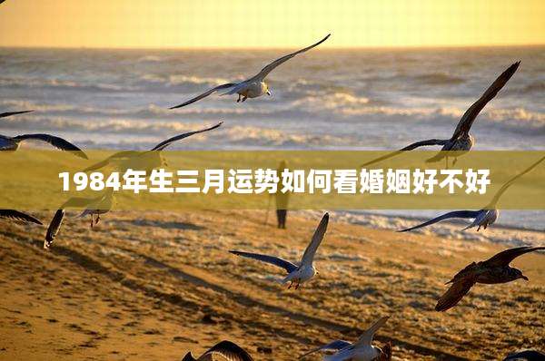 1984年生三月运势如何看婚姻好不好
