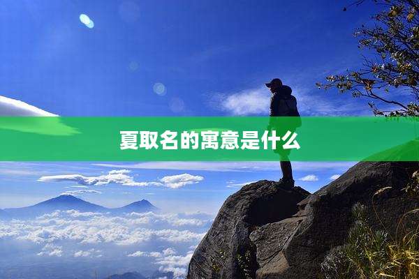 夏取名的寓意是什么