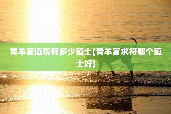 青羊宫道观有多少道士(青羊宫求符哪个道士好)