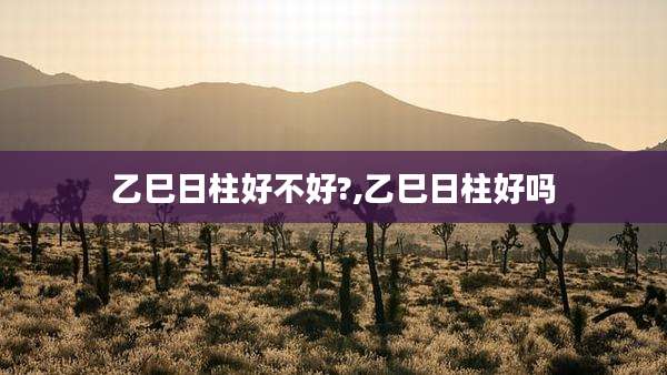乙巳日柱好不好?,乙巳日柱好吗