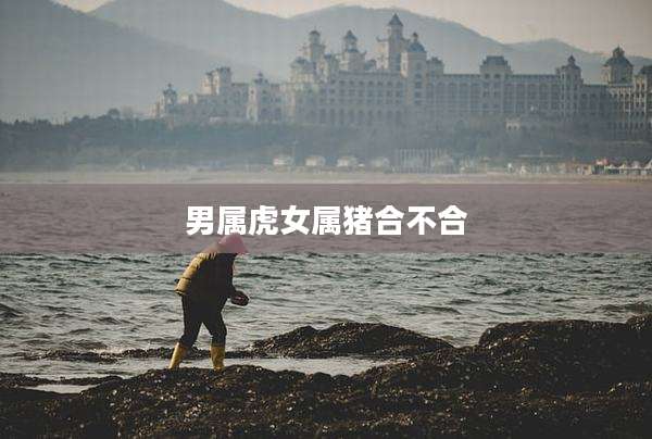 男属虎女属猪合不合