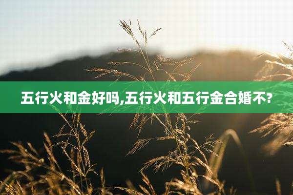 五行火和金好吗,五行火和五行金合婚不?