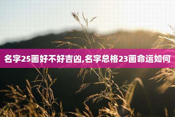 名字25画好不好吉凶,名字总格23画命运如何
