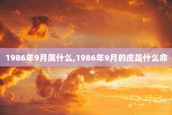 1986年9月属什么,1986年9月的虎是什么命