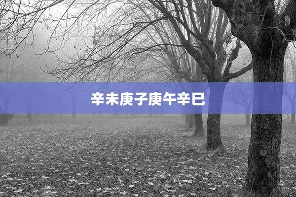辛未庚子庚午辛巳