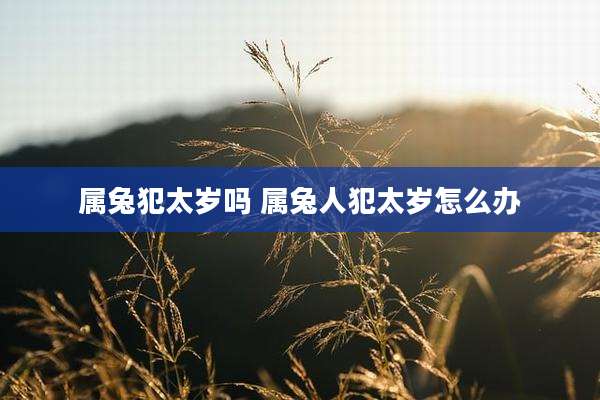属兔犯太岁吗 属兔人犯太岁怎么办