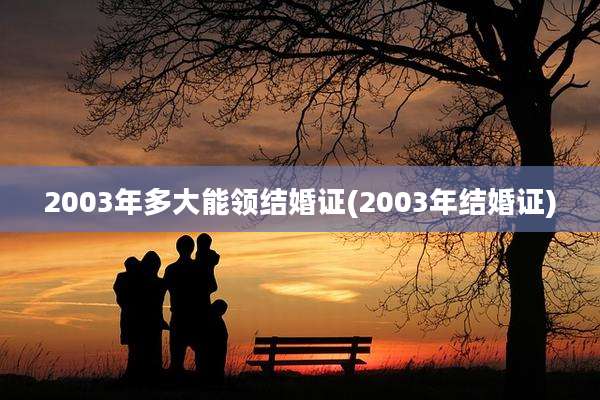 2003年多大能领结婚证(2003年结婚证)