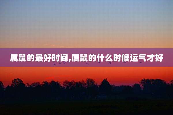 属鼠的最好时间,属鼠的什么时候运气才好