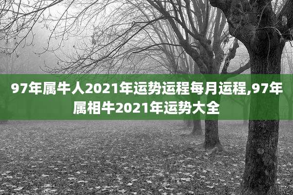 97年属牛人2021年运势运程每月运程,97年属相牛2021年运势大全