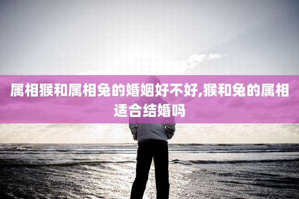属相猴和属相兔的婚姻好不好,猴和兔的属相适合结婚吗