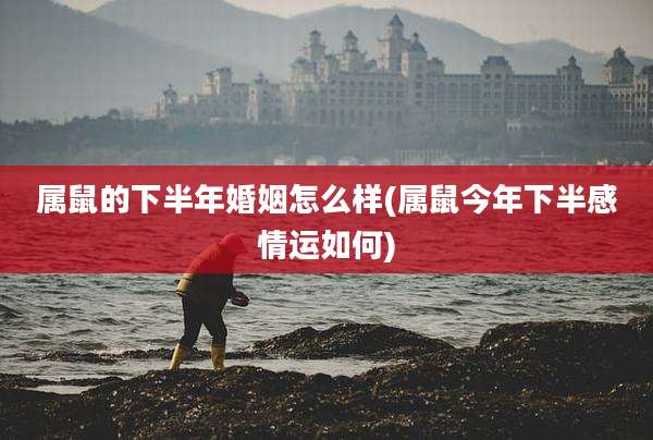 属鼠的下半年婚姻怎么样(属鼠今年下半感情运如何)