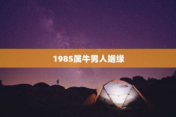 1985属牛男人姻缘