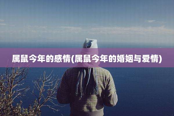 属鼠今年的感情(属鼠今年的婚姻与爱情)