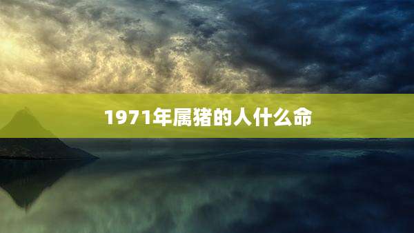 1971年属猪的人什么命