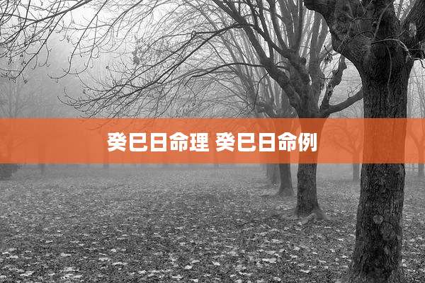 癸巳日命理 癸巳日命例