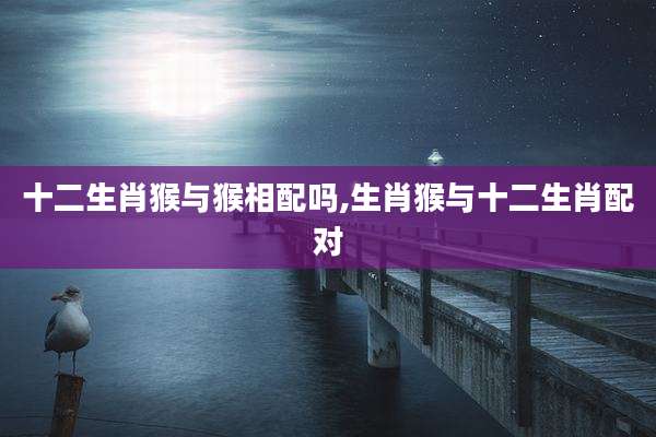 十二生肖猴与猴相配吗,生肖猴与十二生肖配对