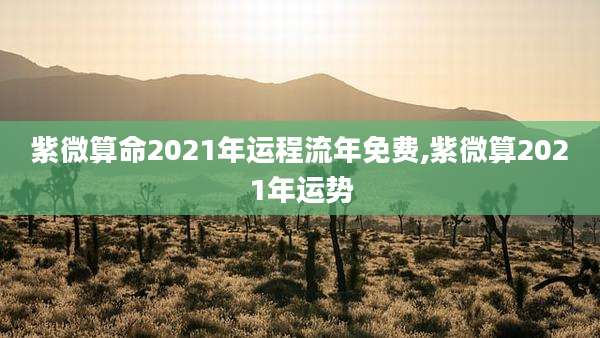 紫微算命2021年运程流年免费,紫微算2021年运势