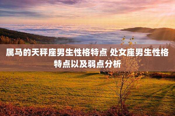 属马的天秤座男生性格特点 处女座男生性格特点以及弱点分析