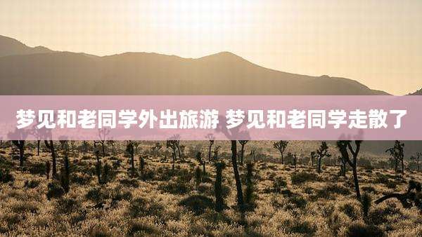 梦见和老同学外出旅游 梦见和老同学走散了