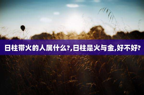 日柱带火的人属什么?,日柱是火与金,好不好?