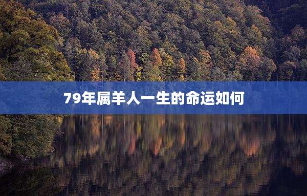 79年属羊人一生的命运如何