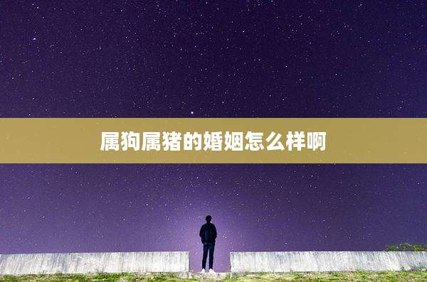 属狗属猪的婚姻怎么样啊