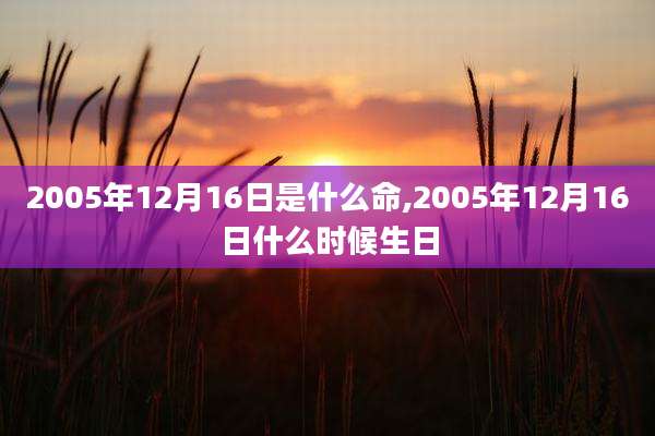 2005年12月16日是什么命,2005年12月16日什么时候生日