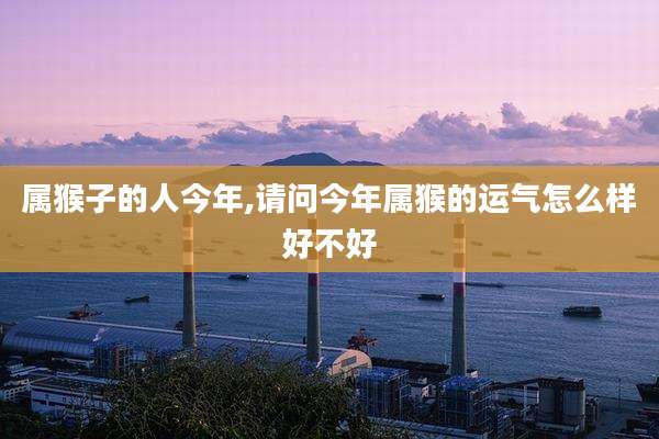 属猴子的人今年,请问今年属猴的运气怎么样好不好